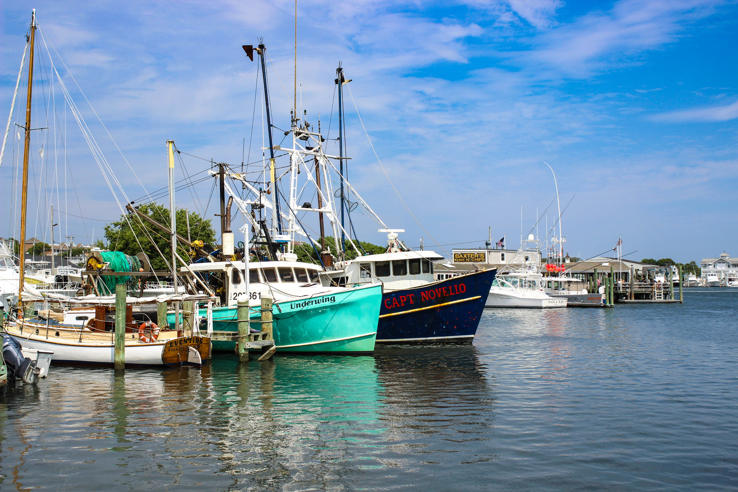 Hyannis harbor