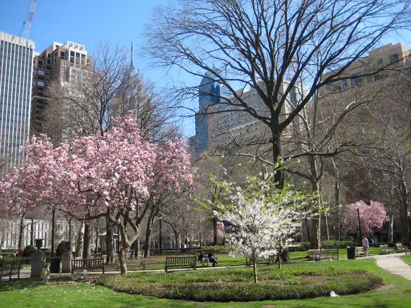 Rittenhouse Square