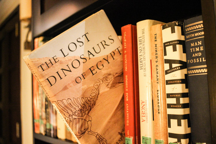 One of the many dinosaur themed books in the room. 