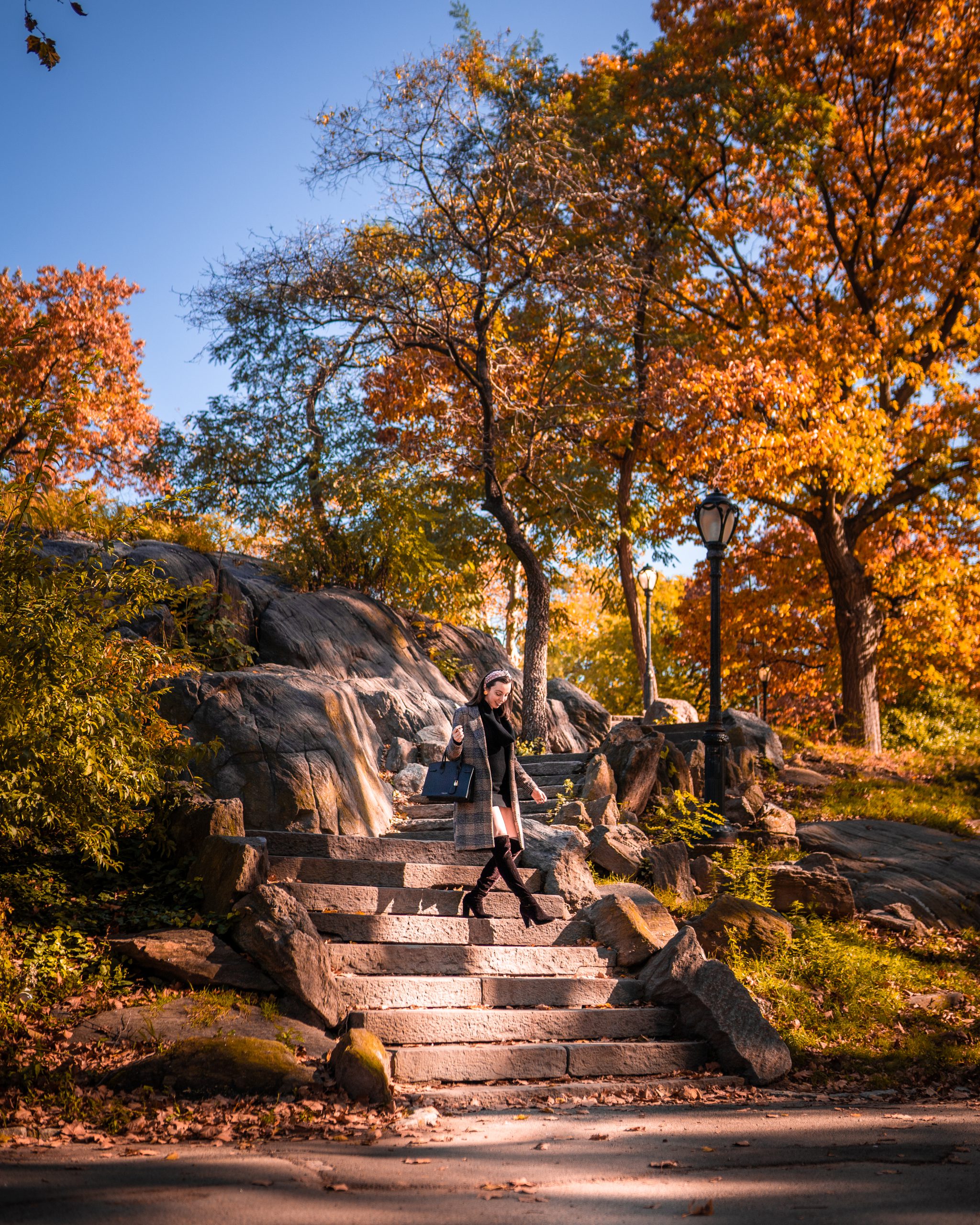 Rock Staircase in Central Park.