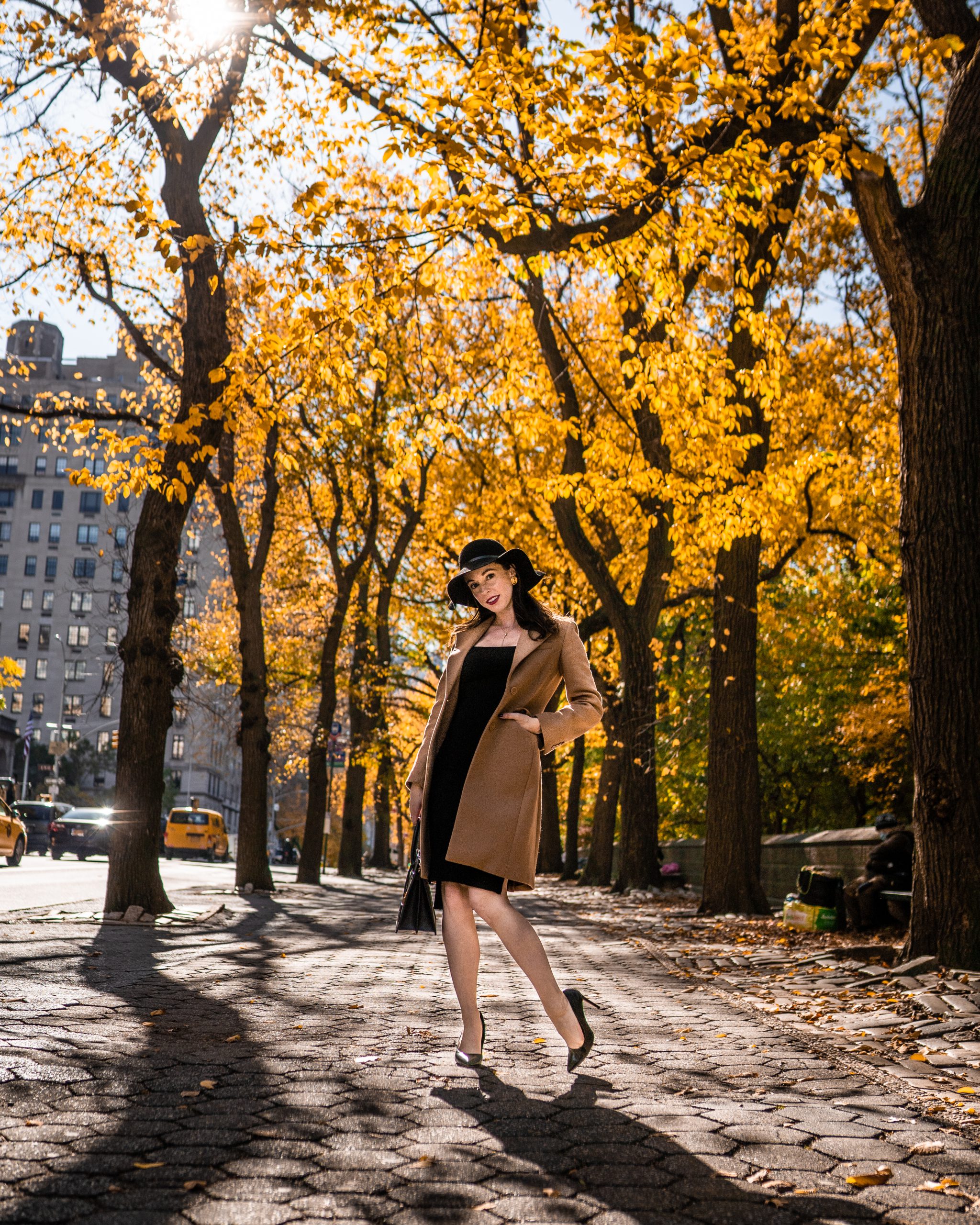 5th Ave & 72nd Street in autumn. 