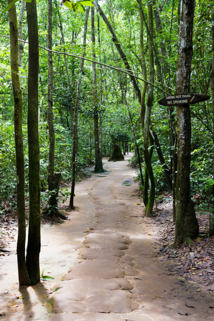 The lush forests of Cu Chi