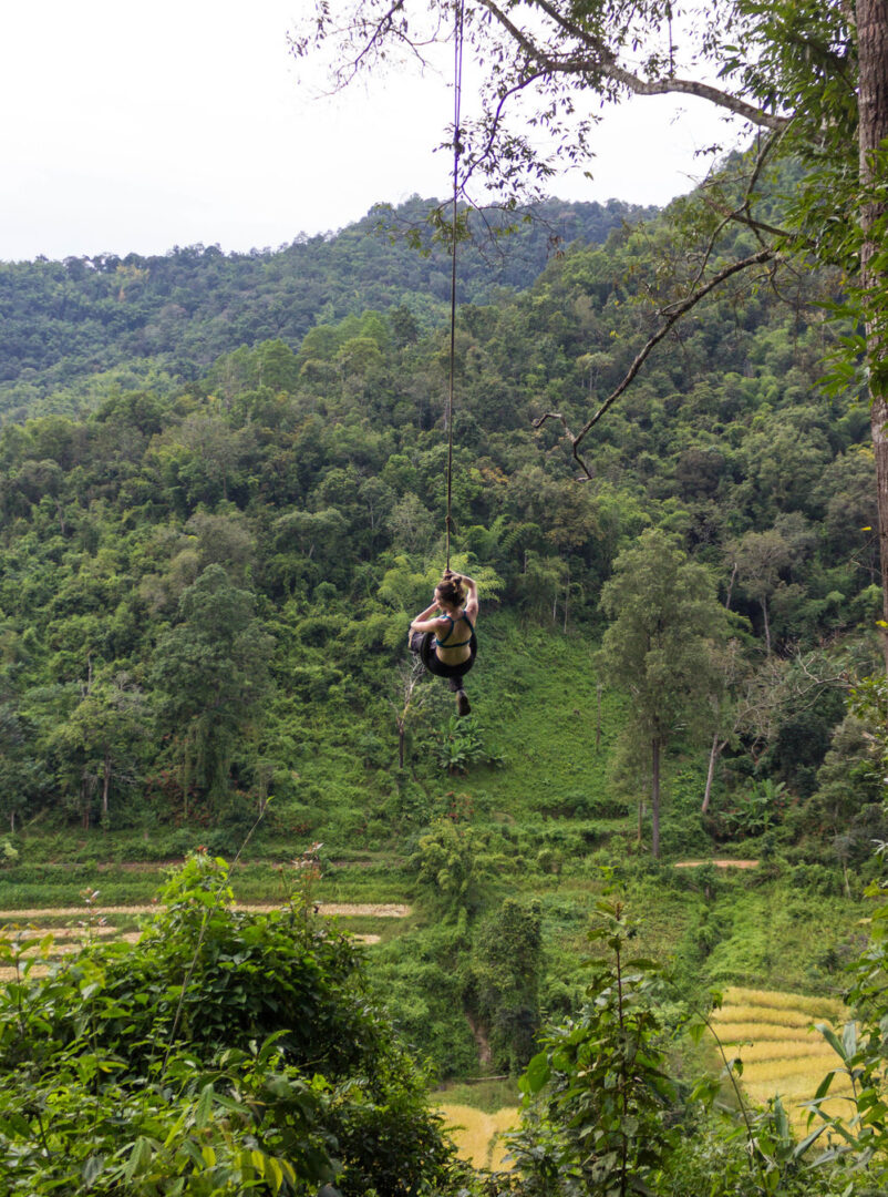 A tire swing hung from a tree that overlooks a small village among rice fields