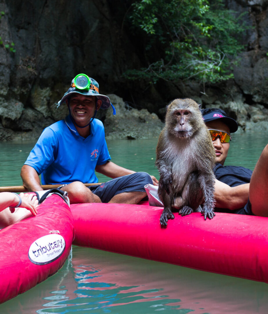 A monkey enjoys a ride on a canoe with guests
