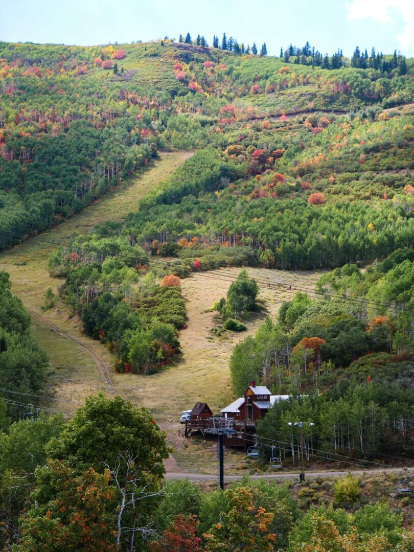 A ski mountain during autumn